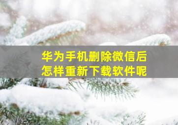 华为手机删除微信后怎样重新下载软件呢