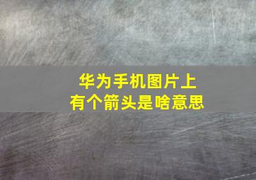 华为手机图片上有个箭头是啥意思