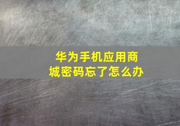 华为手机应用商城密码忘了怎么办