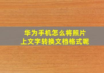 华为手机怎么将照片上文字转换文档格式呢