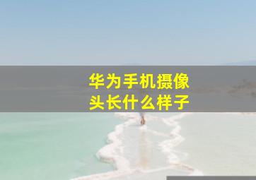 华为手机摄像头长什么样子