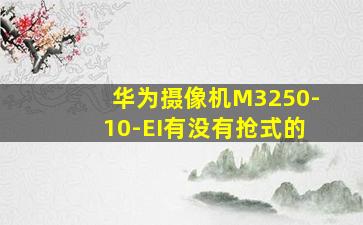 华为摄像机M3250-10-EI有没有抢式的