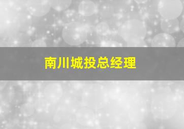 南川城投总经理