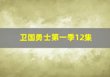 卫国勇士第一季12集