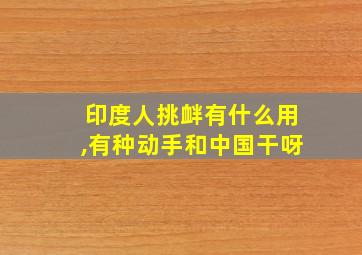 印度人挑衅有什么用,有种动手和中国干呀