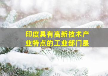 印度具有高新技术产业特点的工业部门是