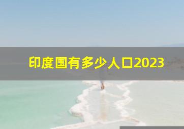 印度国有多少人口2023