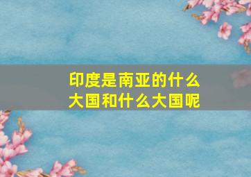 印度是南亚的什么大国和什么大国呢