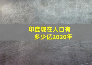 印度现在人口有多少亿2020年