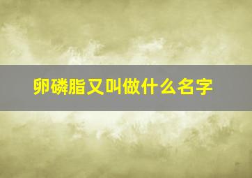 卵磷脂又叫做什么名字