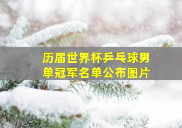 历届世界杯乒乓球男单冠军名单公布图片