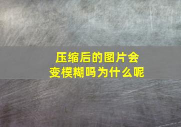 压缩后的图片会变模糊吗为什么呢