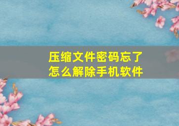 压缩文件密码忘了怎么解除手机软件