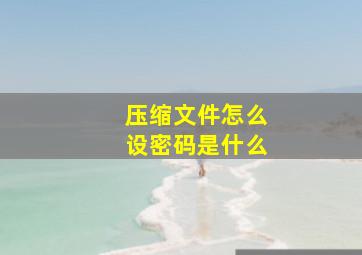 压缩文件怎么设密码是什么