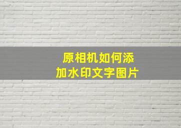 原相机如何添加水印文字图片