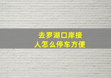 去罗湖口岸接人怎么停车方便