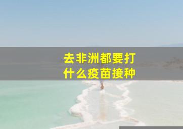 去非洲都要打什么疫苗接种