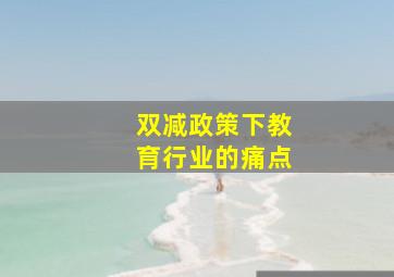 双减政策下教育行业的痛点