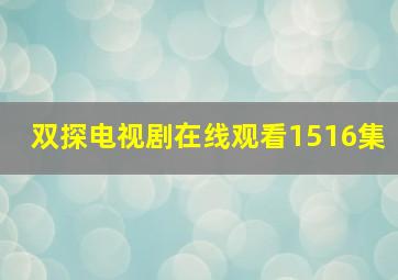 双探电视剧在线观看1516集