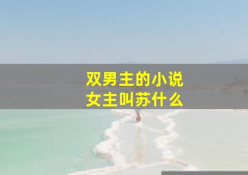 双男主的小说女主叫苏什么