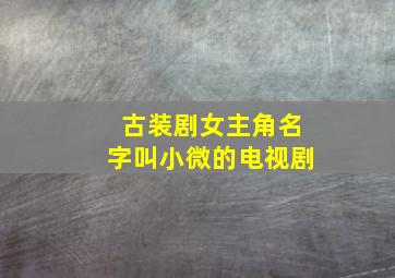 古装剧女主角名字叫小微的电视剧