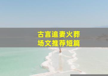 古言追妻火葬场文推荐短篇