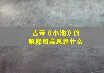 古诗《小池》的解释和意思是什么