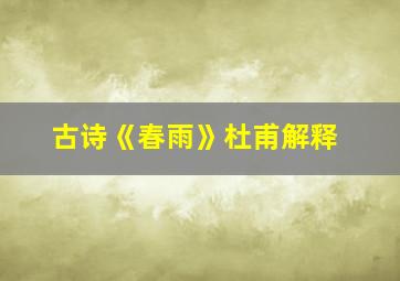 古诗《春雨》杜甫解释