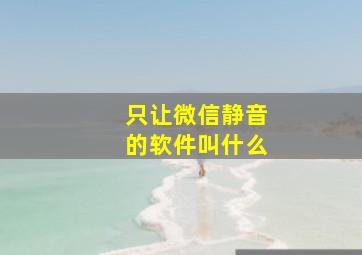 只让微信静音的软件叫什么