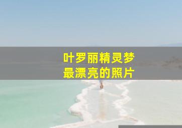 叶罗丽精灵梦最漂亮的照片