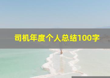 司机年度个人总结100字