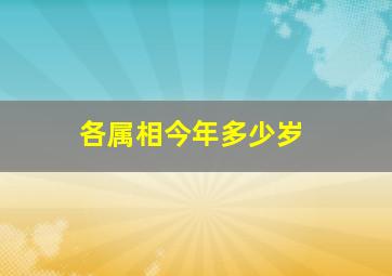 各属相今年多少岁