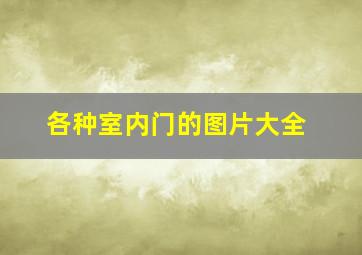 各种室内门的图片大全