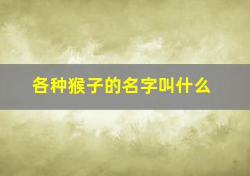 各种猴子的名字叫什么