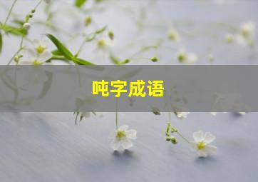 吨字成语