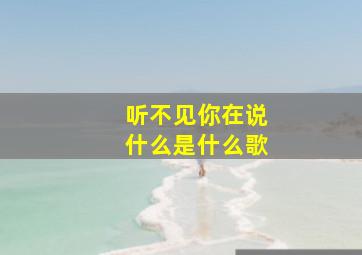 听不见你在说什么是什么歌