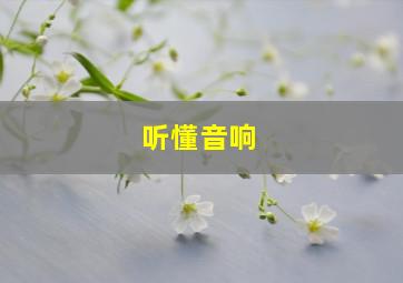 听懂音响