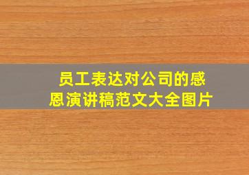 员工表达对公司的感恩演讲稿范文大全图片