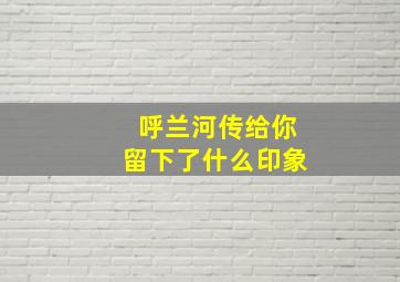 呼兰河传给你留下了什么印象