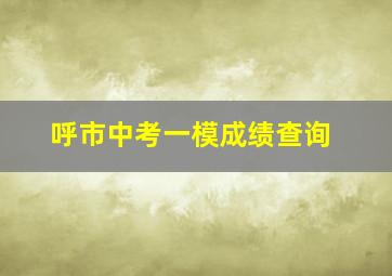 呼市中考一模成绩查询