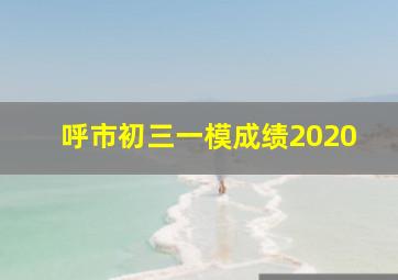 呼市初三一模成绩2020