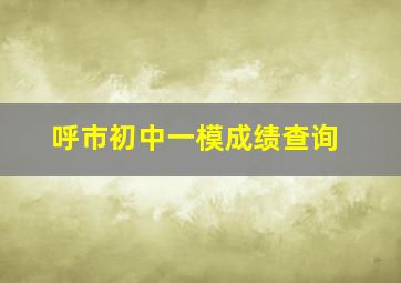 呼市初中一模成绩查询