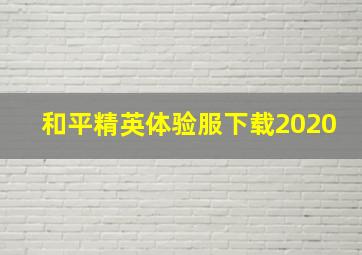 和平精英体验服下载2020