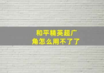 和平精英超广角怎么用不了了