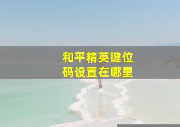 和平精英键位码设置在哪里