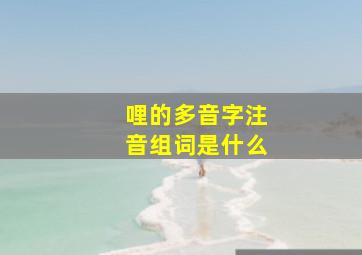 哩的多音字注音组词是什么