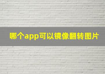 哪个app可以镜像翻转图片