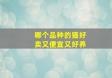 哪个品种的猫好卖又便宜又好养