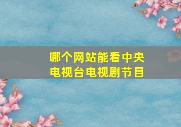 哪个网站能看中央电视台电视剧节目