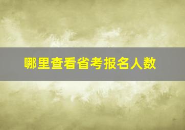 哪里查看省考报名人数